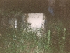 scan0096