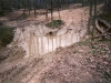 scan0110