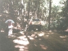scan0155