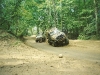 scan0171