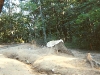 scan0188