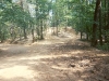 scan0193