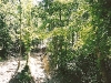 scan0199