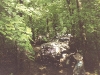 scan0270