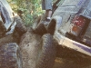 scan0279