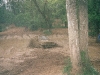 scannedimage-52