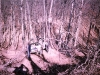 scan0136