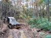 sc-mv4w-2002-pt5